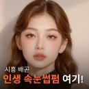 가희브로우