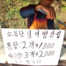 도화동 576 이미지
