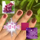 277-2-000018 | 청주 가경동 네일 로뎀네일 가경동 네일아트 포도색 네일 후기