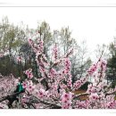 한마음농장 2 이미지