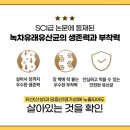 뷰티골드