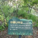 안양시 선거관리위원회 이미지