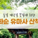 편백세상 이미지