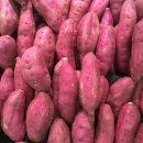 피트니스 위드유 이미지