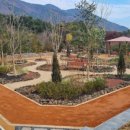 백양산 양묘장 이미지