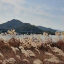 낙동강체육공원 야구장 이미지