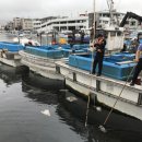 동해-단속-17 이미지