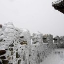 응골축제 이미지