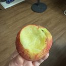 과일맛있는집