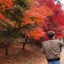 노벨 당구장 이미지