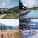 더자주스테이 이미지