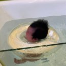 벨르마망 산후조리원 이미지