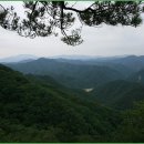 어답산민박 이미지