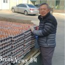 송오농장 브레이크뉴스