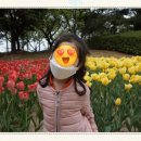 영림유치원 이미지