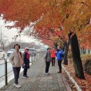 2025년 11월 28일, 여의도 이미지