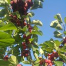 함라농장 이미지