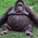 향다방 | 임신 후기에(35주) 적어보는찐 막달 직전 고고…