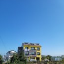 사남매 하우스 이미지