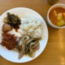 환경성질환 예방관리센터(비자림) 이미지