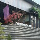 서울 호텔ㅣ친구들과 호캉스 하기 좋은 호텔 : 아난티 앳 강남 캐빈S룸 이용 후기