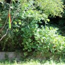 경기둘레길 포천13코스 이미지