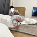 댕댕이 머리하는 날 | 가평애견펜션 아기와 함께 떠난 댕댕이애견글램핑앤펜션