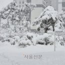 이틀 이미지