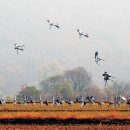 고대닷컴 이미지