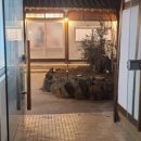 종로국수 이미지