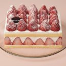 델리카한스 이미지