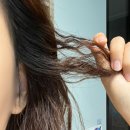 신갈마로230번길 | 대전 복구매직 가성비 영스헤어 재방문율 높은 미용실