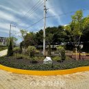 운동초교 이미지