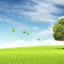 한우 수정소 이미지