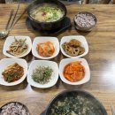 맨도롱 | 제철 향토 음식 제대로 즐길 수 있는 곳. 갱이국이 일품이었던 맨도롱 해장국 솔직 후기!(맛집 인정)