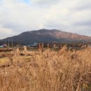 작성산성 이미지