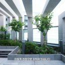 송화약국 이미지