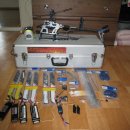 애니얼라인 이미지