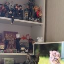 춘천로449번길 이미지