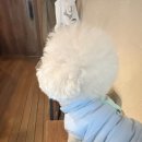 카페일주일 이미지