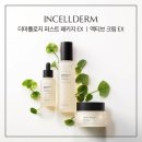 인셀덤샤인 이미지