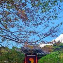 서편경로당 이미지