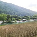 포레스트캐빈앤캠프 이미지