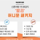 플러스투어