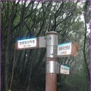 국사봉등산로4코스 Daum카페