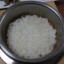 순천용은미가 티스토리