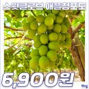 소도몰 이미지