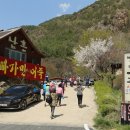 06/13(토)육지속의 외딴섬 금강벼룻길-보석사, 신안사, 잠두리마을 이미지