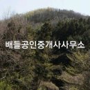 장성 공인중개사사무소 이미지