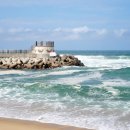 바다와 하루 이미지